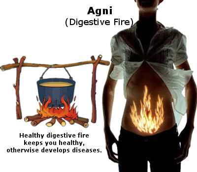 ayurveda-agni-digestivefire.jpg